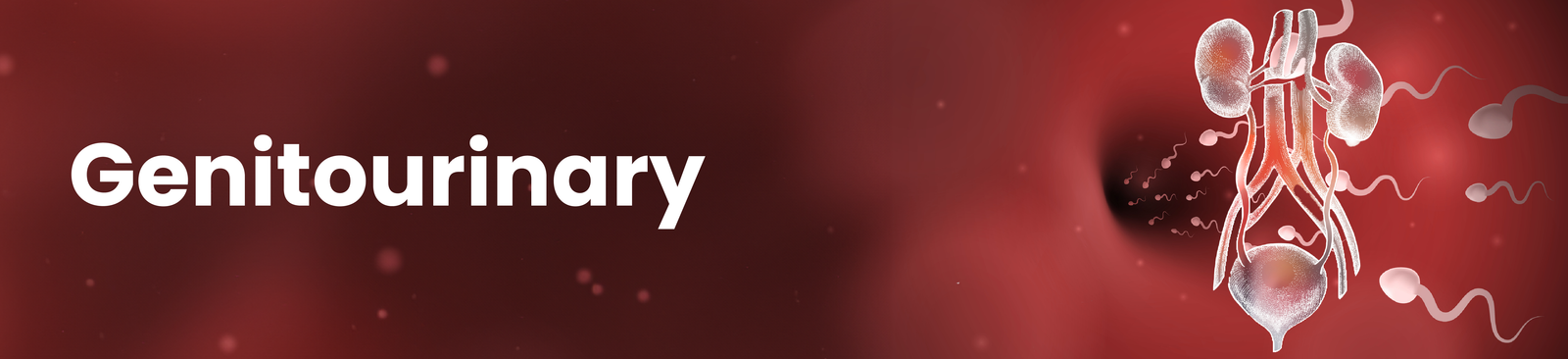 genatourinary 