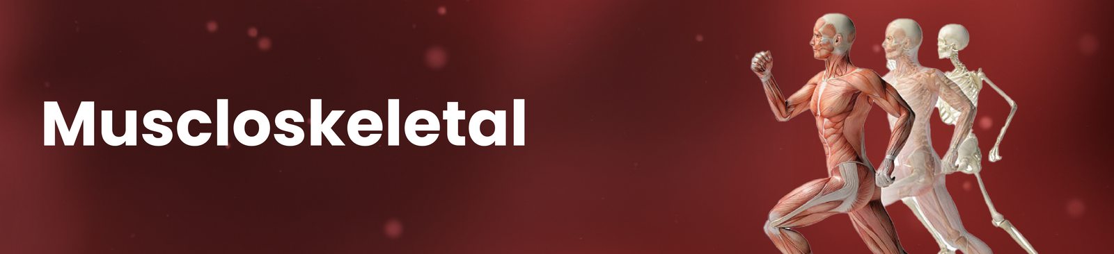 Muscloskeletal 